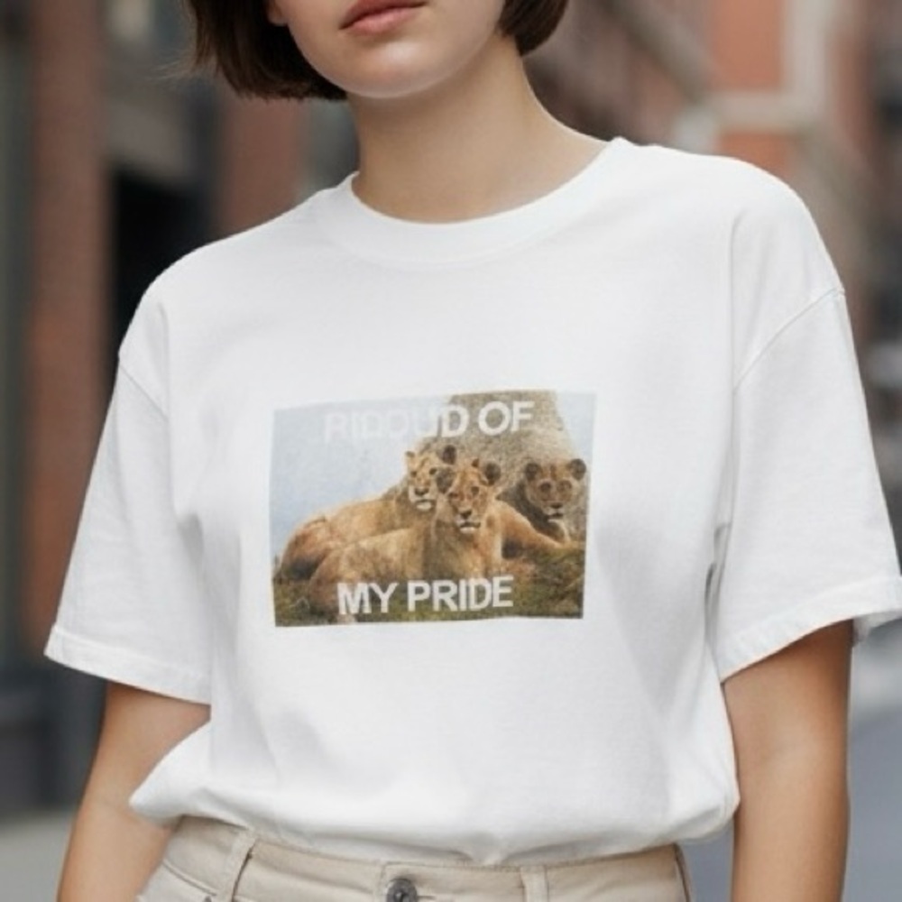 Aerie Offline Proud Of My Pride Lion Graphic Cotton Tee Size M New With Tags